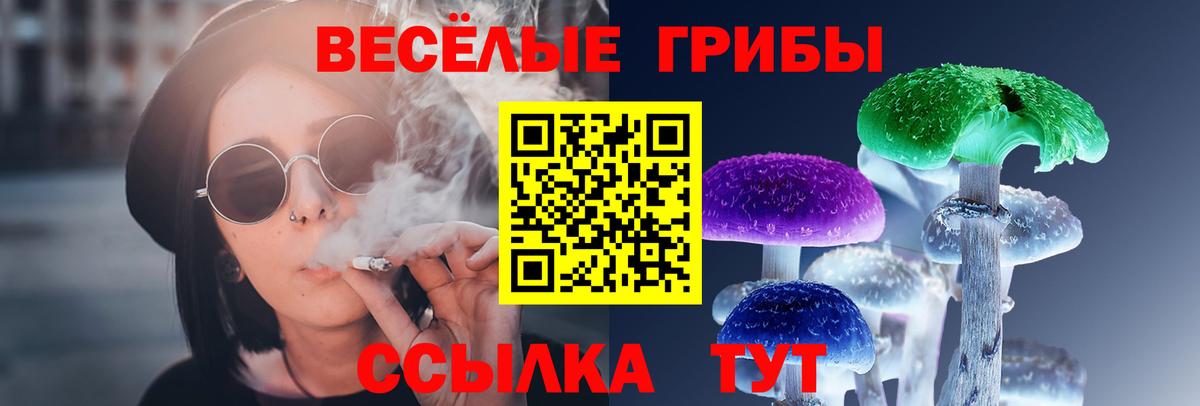 Миасс  Псилоцибиновые грибы прущие грибы  Галлюциногенные грибы прущие грибы  купить   Вход с VPN 